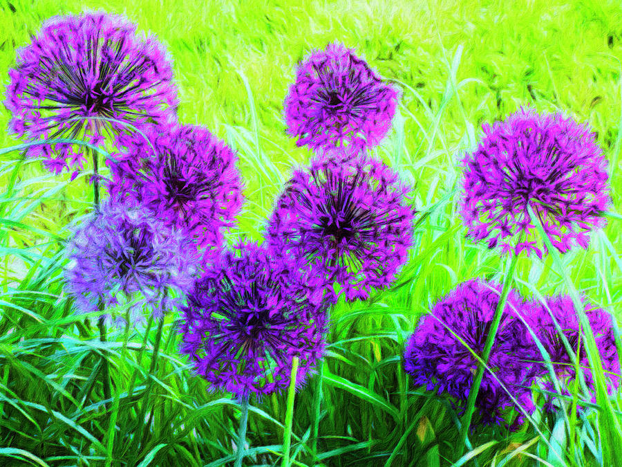 Allium In Tall Grass Photograph by Leslie Montgomery