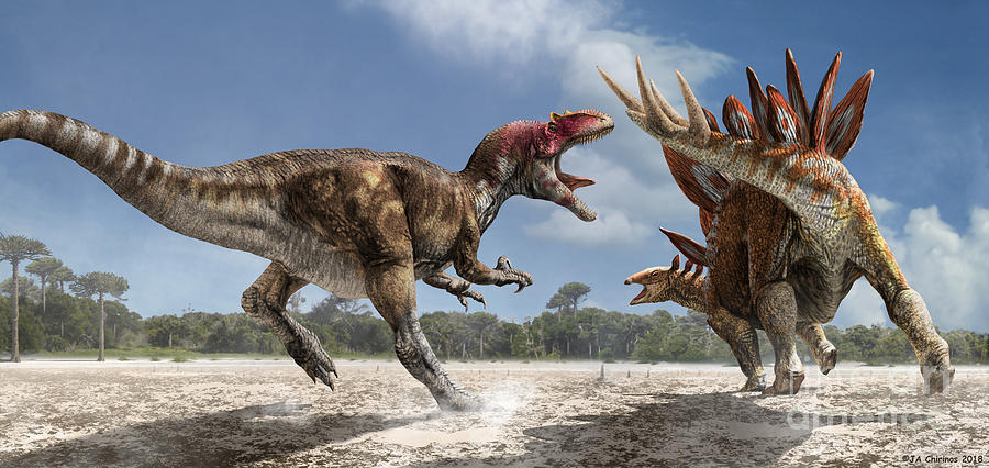 Allosaurus Attacking A Stegosaurus Dinosaur Photograph by Jaime ...