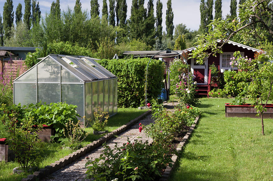 Allotments With Greenhouse And Garden Shed Photograph by Dr. Karen Meyer-rebentisch