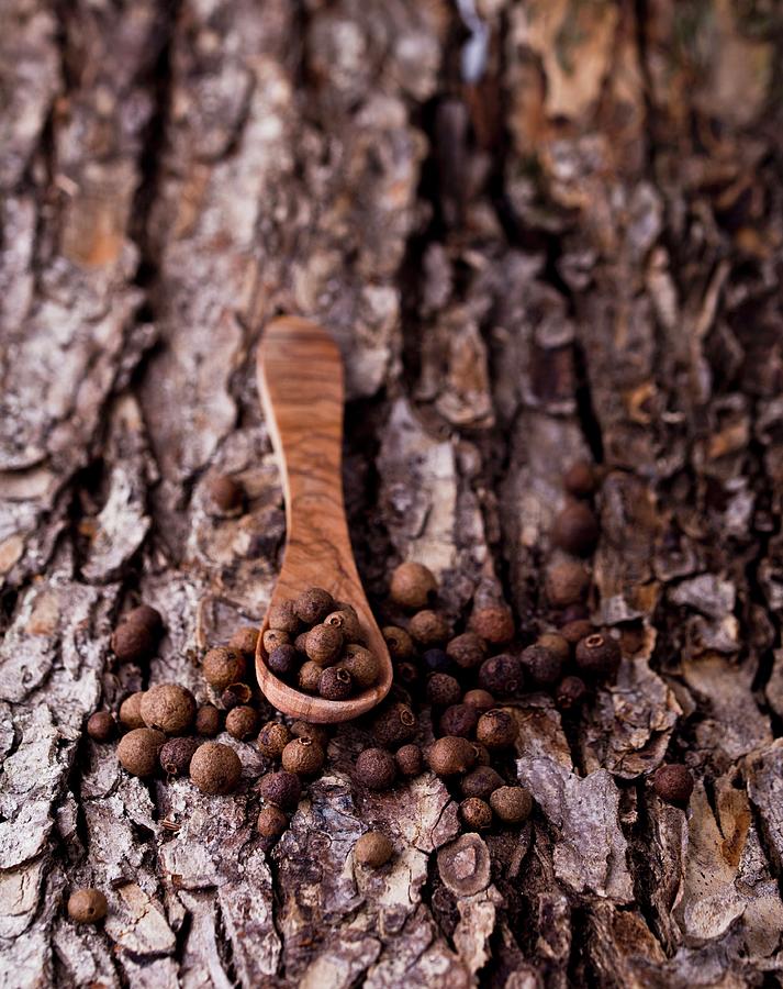 Allspice On A Wooden Spoon On A Piece Of Bark Photograph by Dorota Indycka