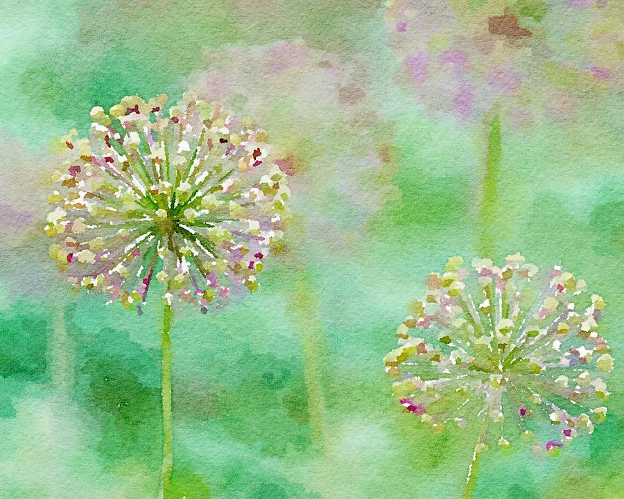 Allium - Soft Tints Mixed Media by Susan Rydberg