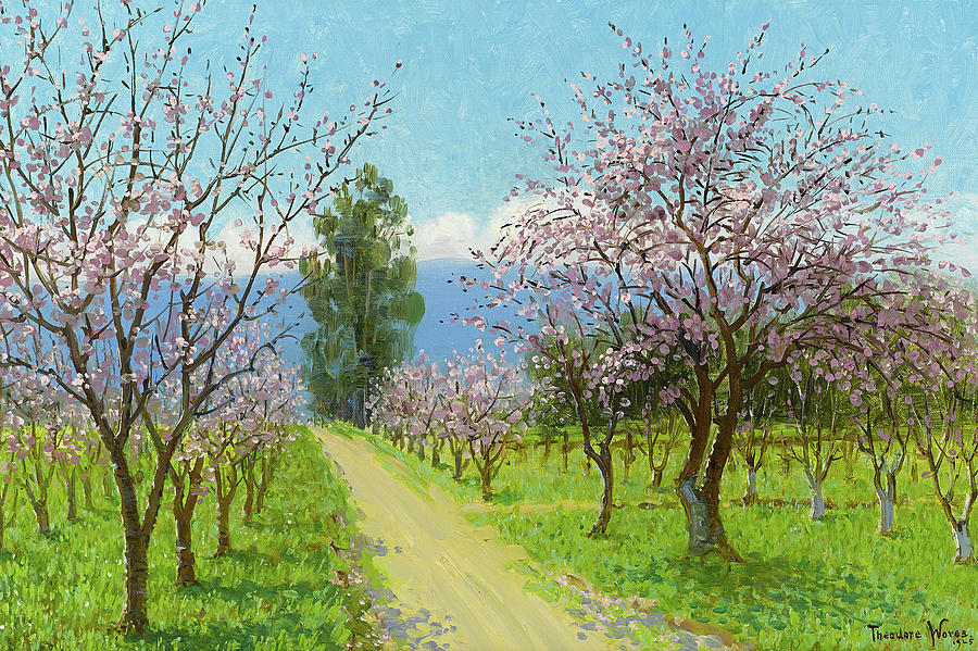 Tree Painting - Almond blossoms, Los Altos by Theodore Wores