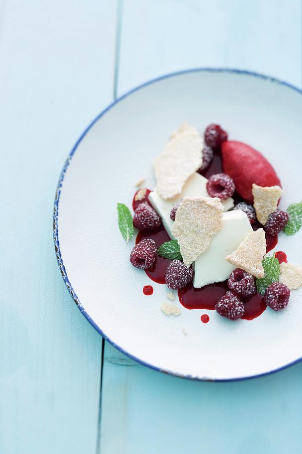 Almond Japonaise With Ice Cream And Raspberry Sauce Photograph by Michael Wissing