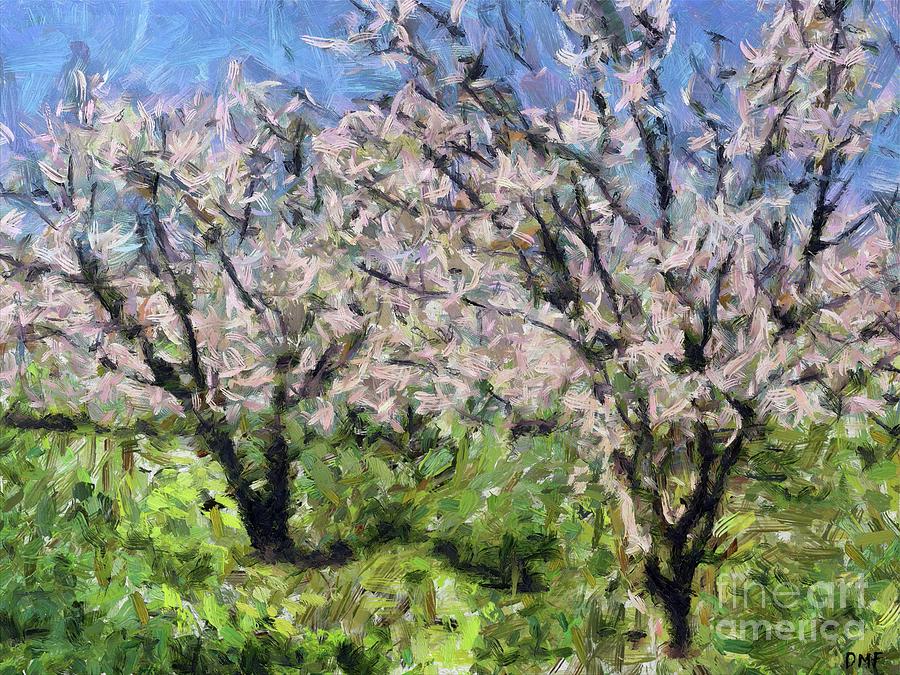 Almond Orchard in Full Bloom Painting by Dragica Micki Fortuna