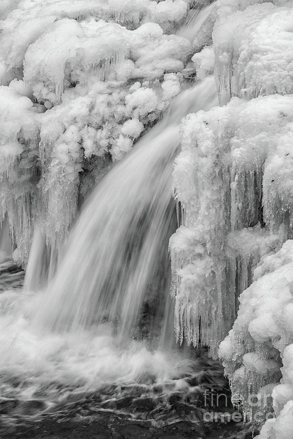 Almost Frozen Photograph by Joann Long