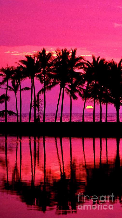 Aloha Friday by EliteBrands Co Aloha Friday by EliteBrands Co