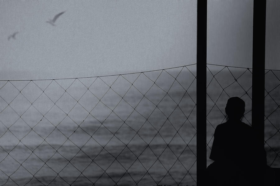 Alone , In The Sea Photograph by Teruhiko Tsuchida