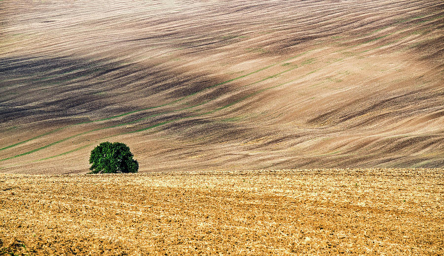 Czech Republic Photograph - Alone by Andrei Dima Czech Republic Photograph - Alone by Andrei Dima