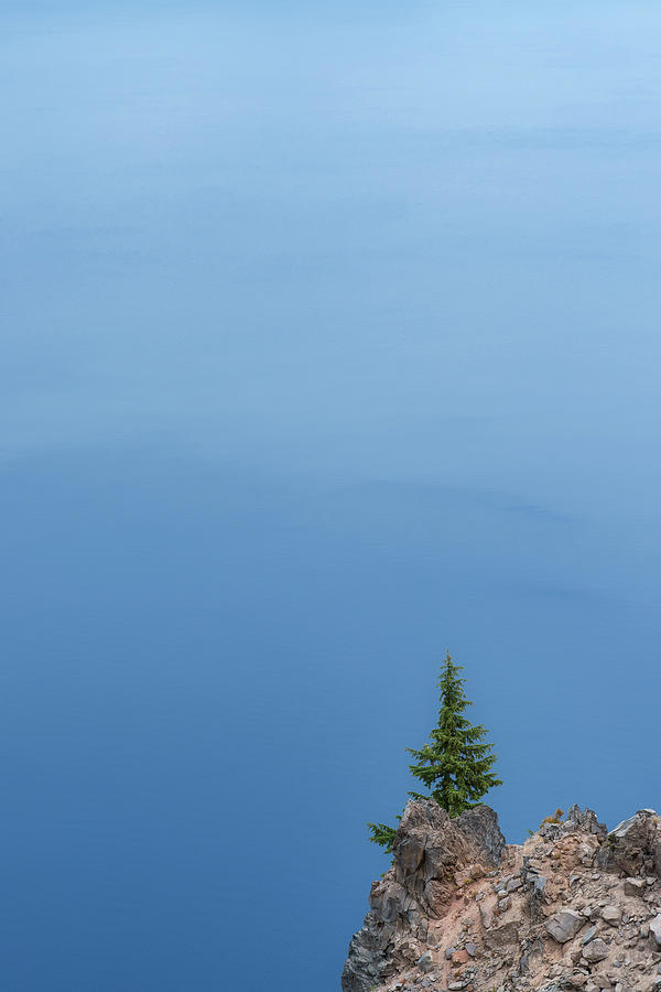 Tree Photograph - Alone at Crater Lake by Joseph Smith