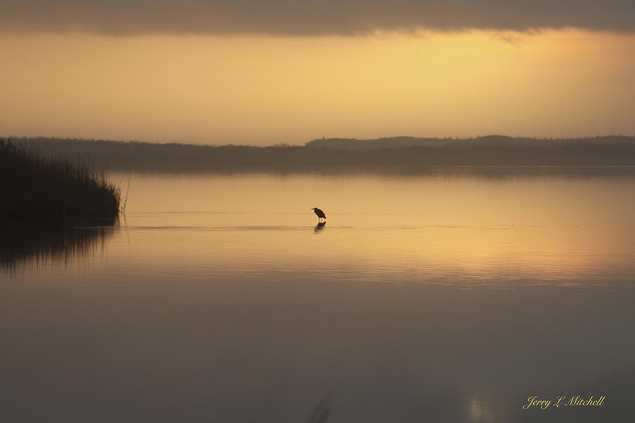 Alone at dawn Photograph by Jerry Mitchell