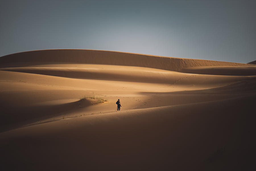 Alone In Desert Photograph by Wail.hamdane - Fine Art America
