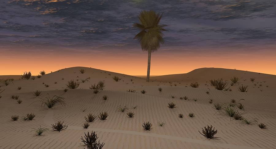 Vegetable Digital Art - Alone in the desert by Karim Alhalabi