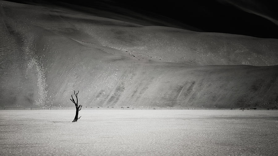 Alone In The World Photograph by Mathilde Guillemot