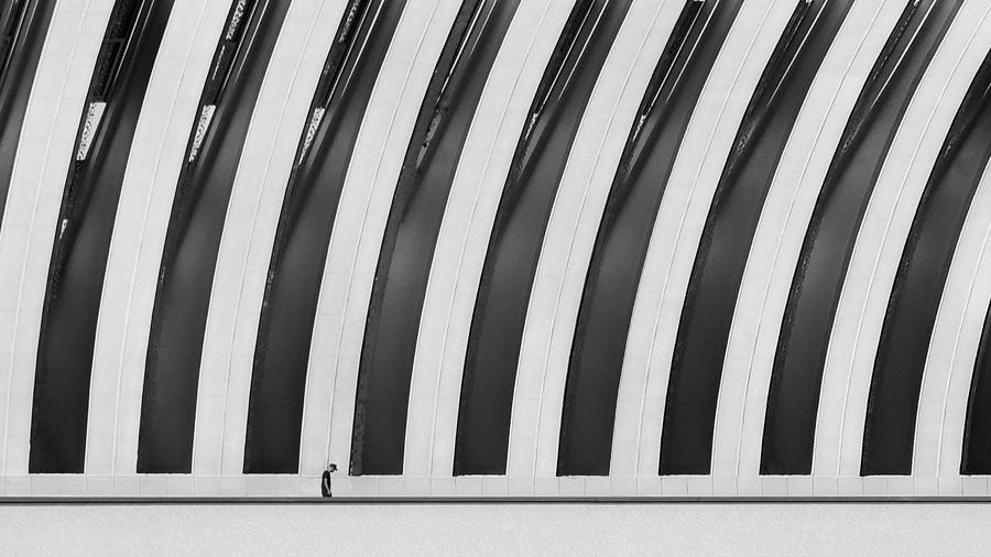 Alone Man Photograph by Alizolghadri93