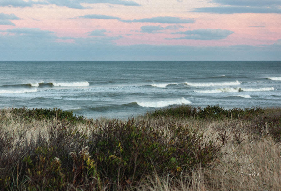 Along Cape Cod II - Pastel Photograph by Suzanne Gaff