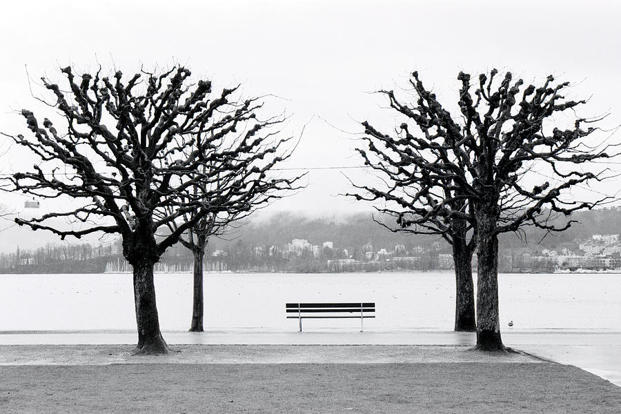 Along Lake Lucerne, Lucerne, Switzerland Photograph by Walter Bibikow