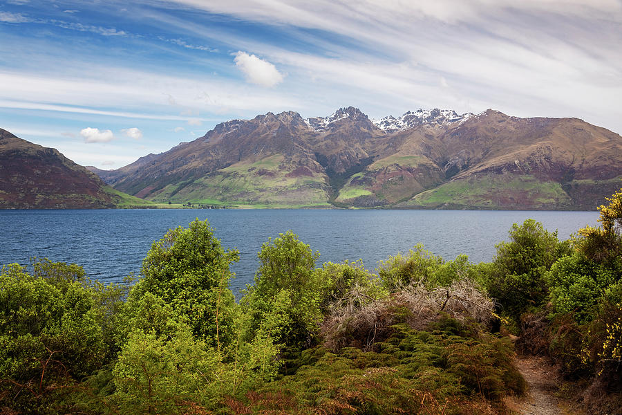 Along Lake Wakatipu New Zealand Photograph by Joan Carroll