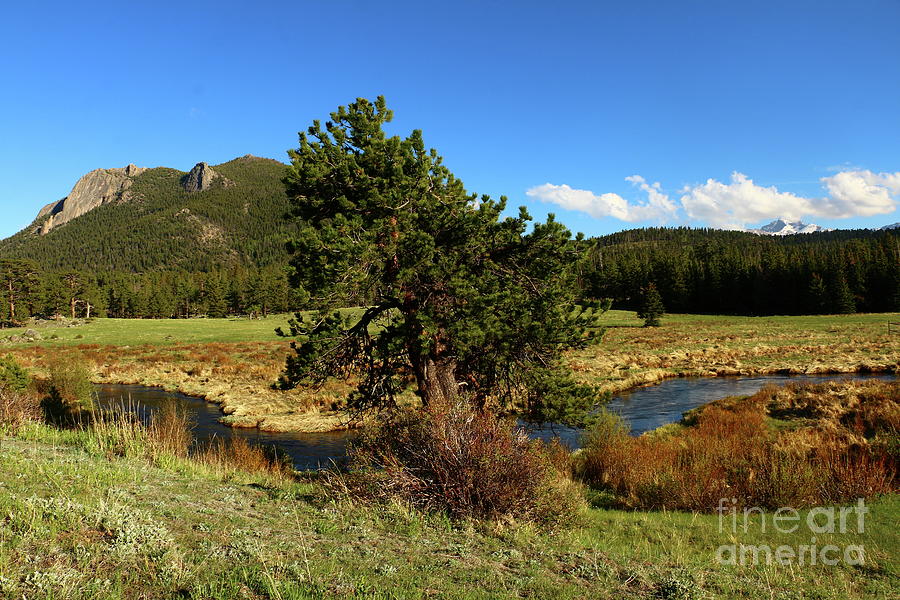 Rocky Mountain National Park Photograph - Along The Fall River by Christiane Schulze Art And Photography