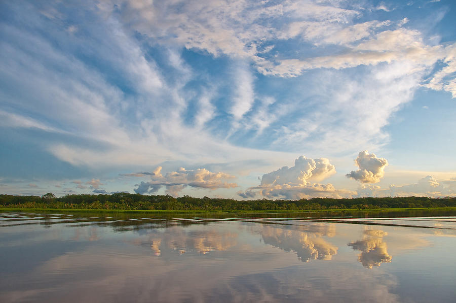 Along The Peruvian Amazon Photograph by Michael Lustbader