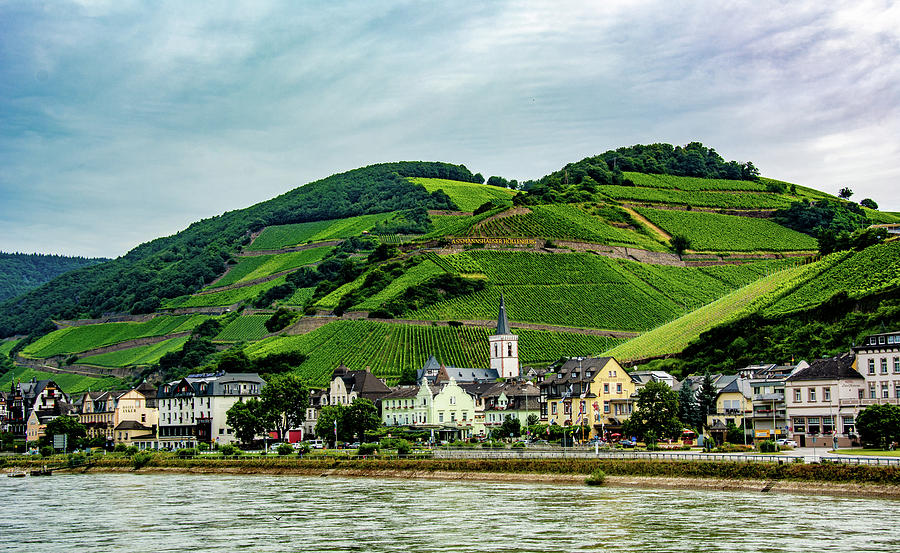 Along the River Rhine Photograph by Marcy Wielfaert