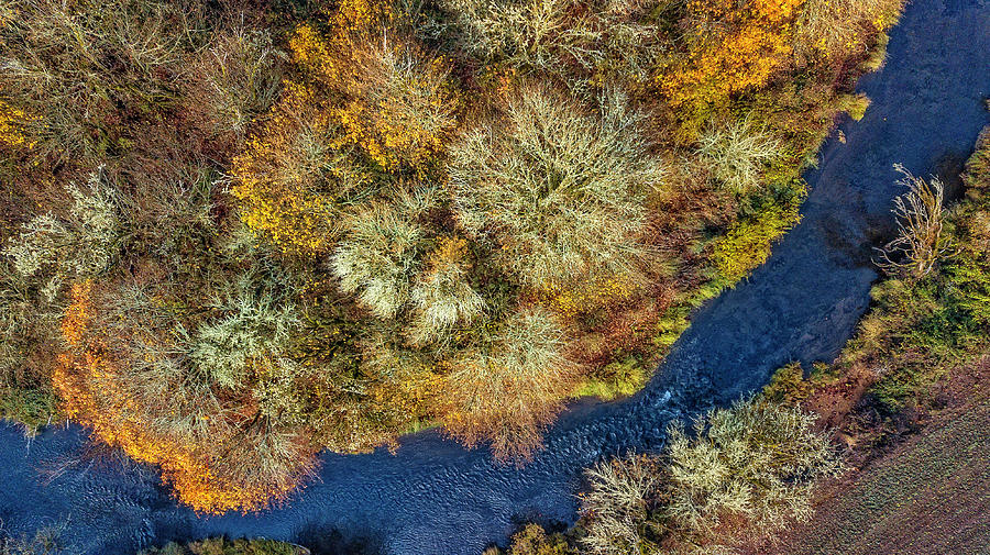 Along The River Photograph by Dennis Bucklin
