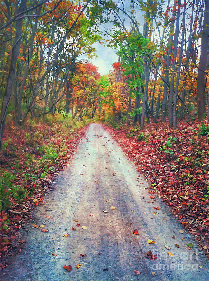 Along The Road to Autumn Photograph by Kerri Farley