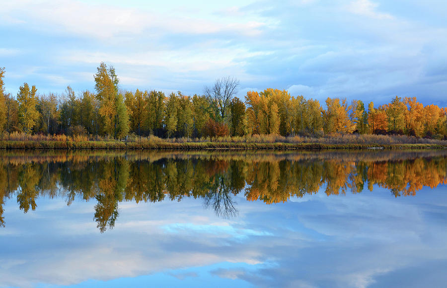 Along the Slough Photograph by Whispering Peaks Photography - Fine Art ...