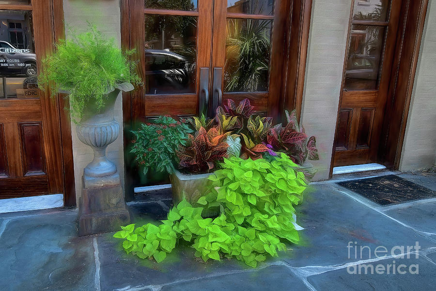 Along The Streets Of Charleston by Kathy Baccari Along The Streets Of Charleston by Kathy Baccari
