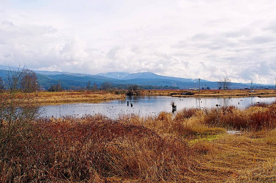 Alouette River Pitt Meadows by Sharon Talson Alouette River Pitt Meadows by Sharon Talson