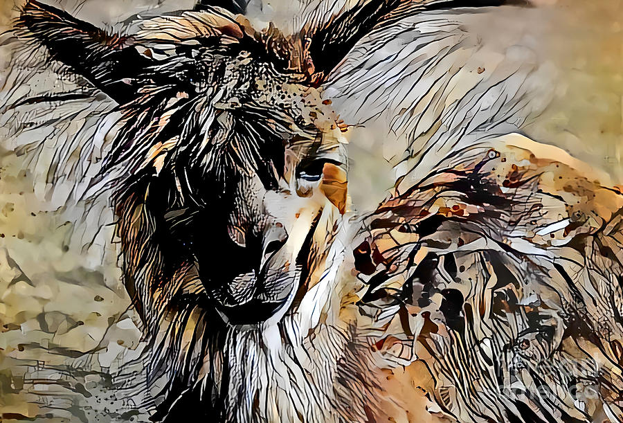 Alpaca Abstract by Trudee Hunter Alpaca Abstract by Trudee Hunter