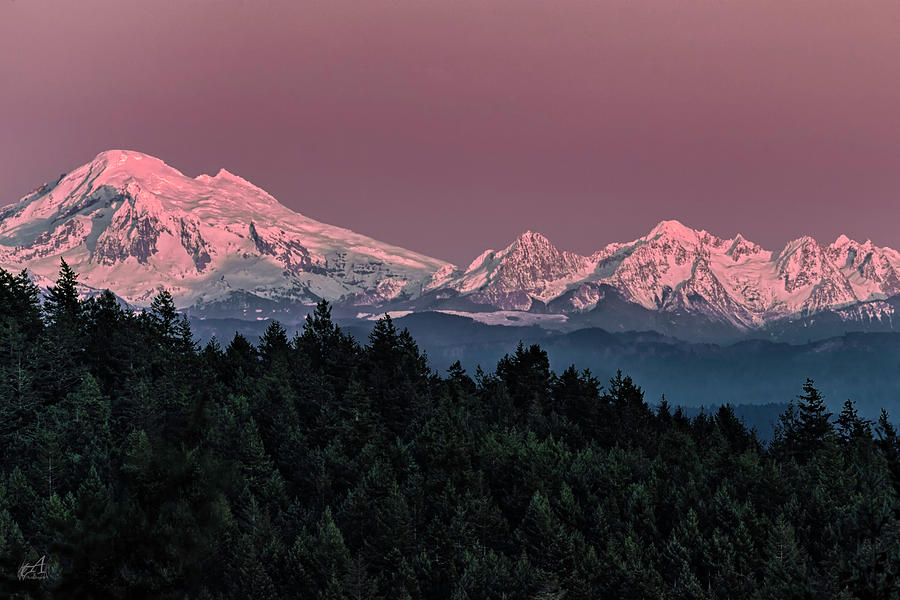 Mount Baker Photograph - Alpen Glow by Thomas Ashcraft