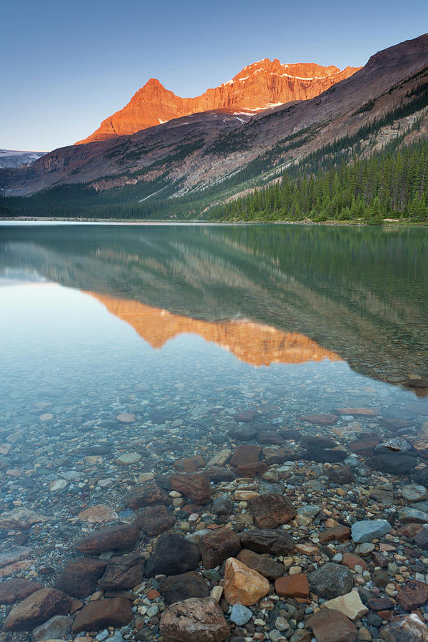 Alpenglow At Bow Lake Photograph by Glowingearth
