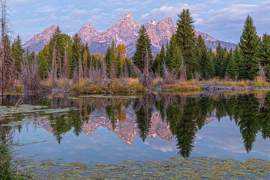 Alpenglow  Tetons Photograph by Angelo Marcialis