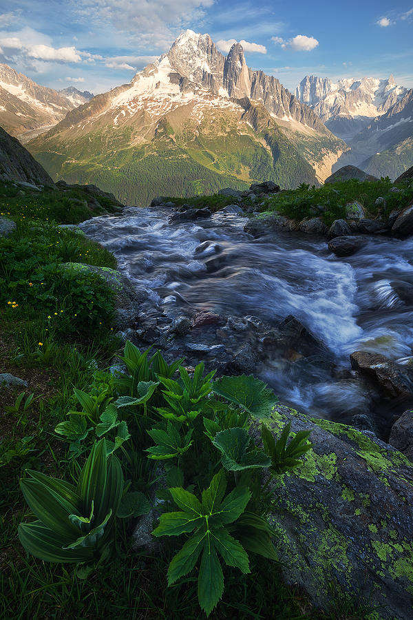 Alpine Beauty - French Alps Photograph by Daniel Gastager