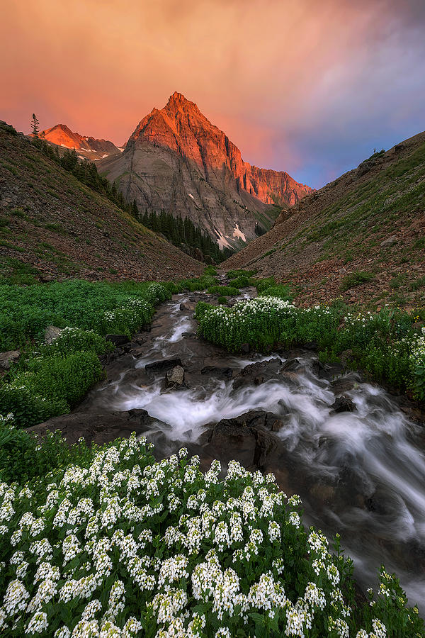 Landscape Photograph - Alpine Creek by Mei Xu