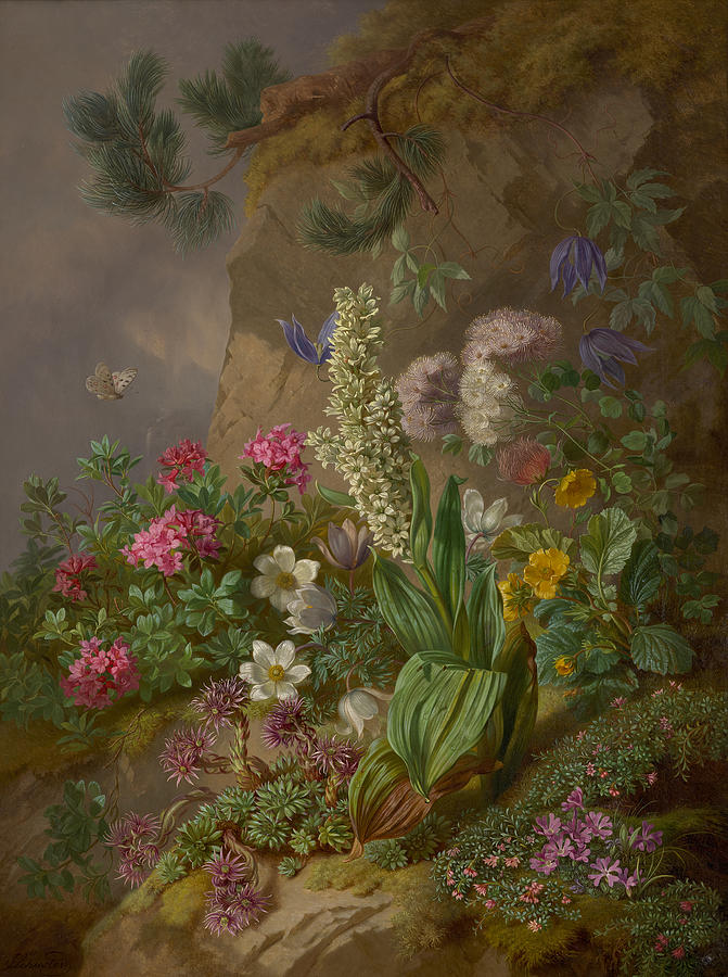 Alpine flowers Painting by Joseph Schuster