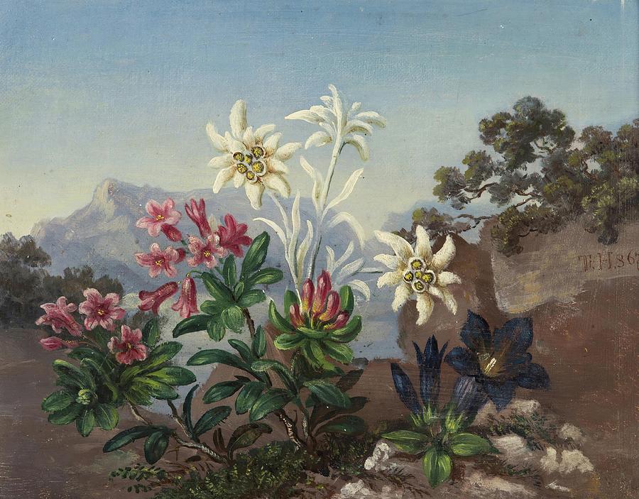 Alpine Flowers Painting by Unknown Alpine Flowers Painting by Unknown