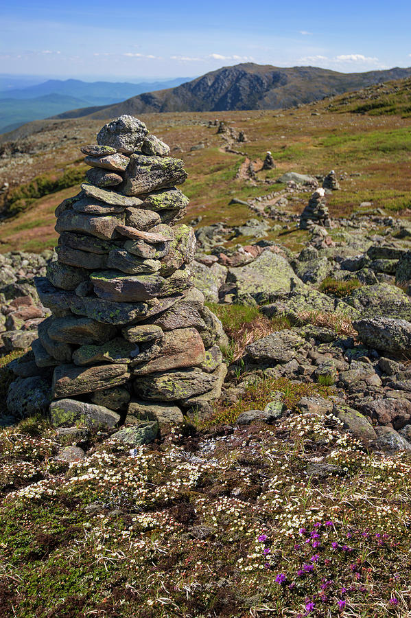 Alpine Garden Cairn Photograph by White Mountain Images