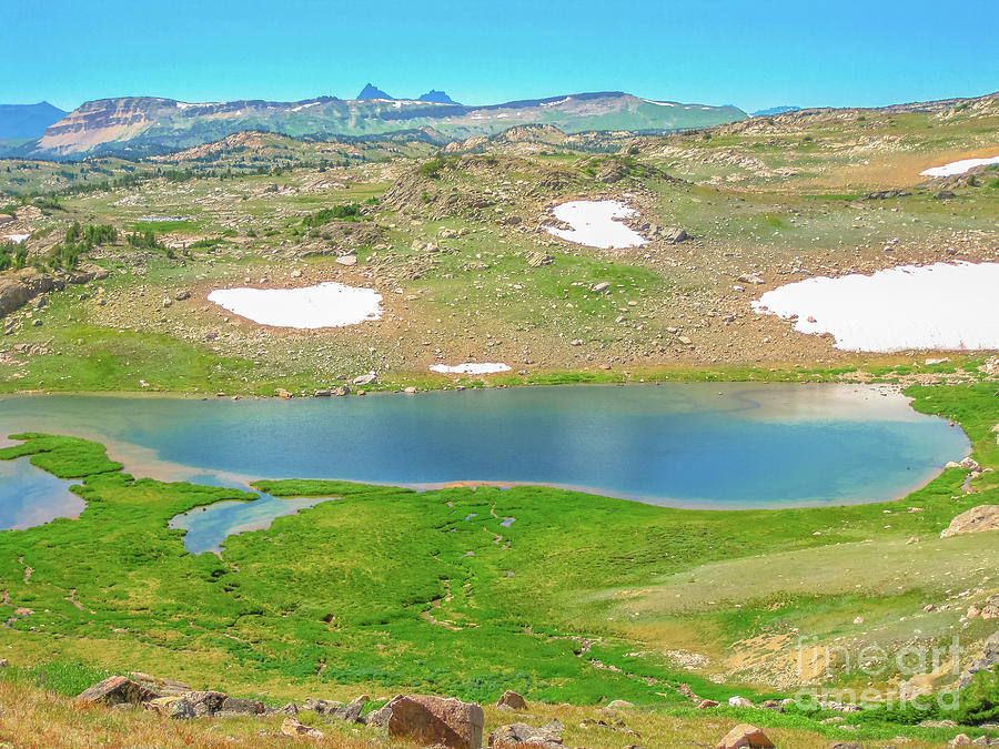 Alpine lake at Beartooth Pass Photograph by Benny Marty
