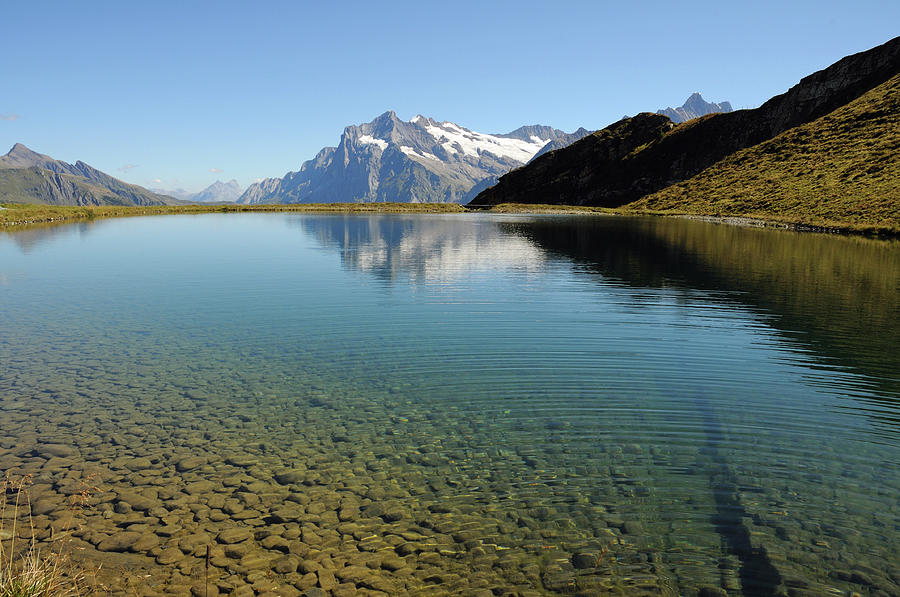 Alpine Lake Near Grindelwald Photograph by Werner Büchel