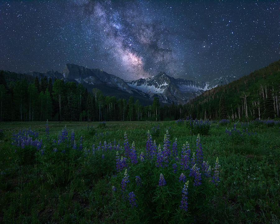 Landscape Photograph - Alpine Night by Mei Xu