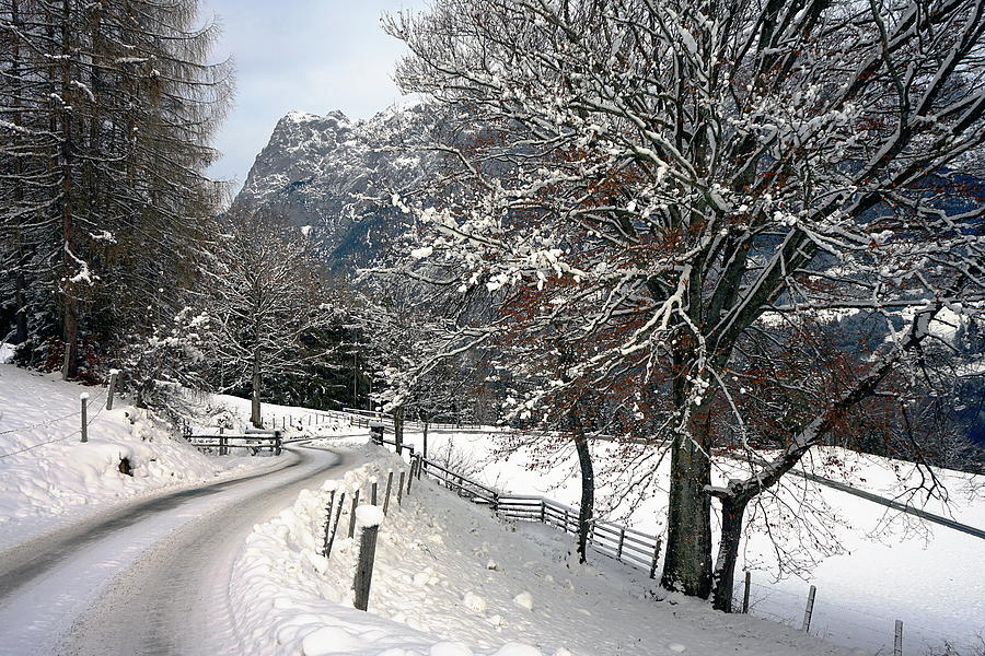 Alps Photograph - Alpine Road in Winter by Two Small Potatoes Alps Photograph - Alpine Road in Winter by Two Small Potatoes