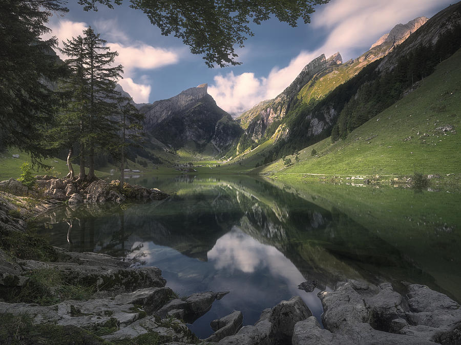 Alpine Silence Photograph by Zbyszek Nowak