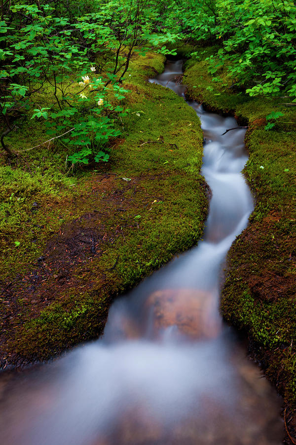 Alpine Stream, A Time Lapse Effect Photograph by Mint Images/ Art Wolfe