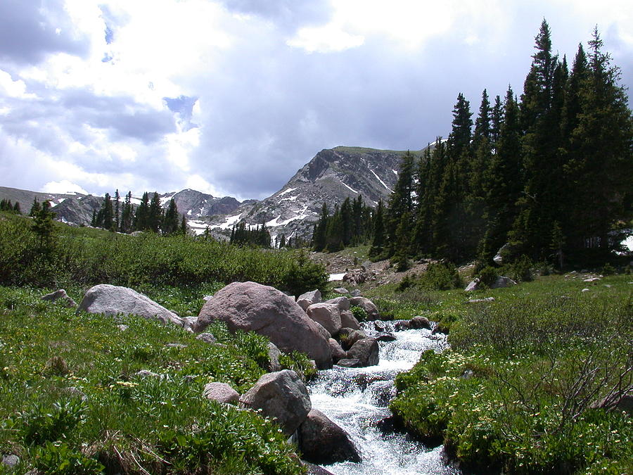 Alpine Stream Photograph by Mtnsnail