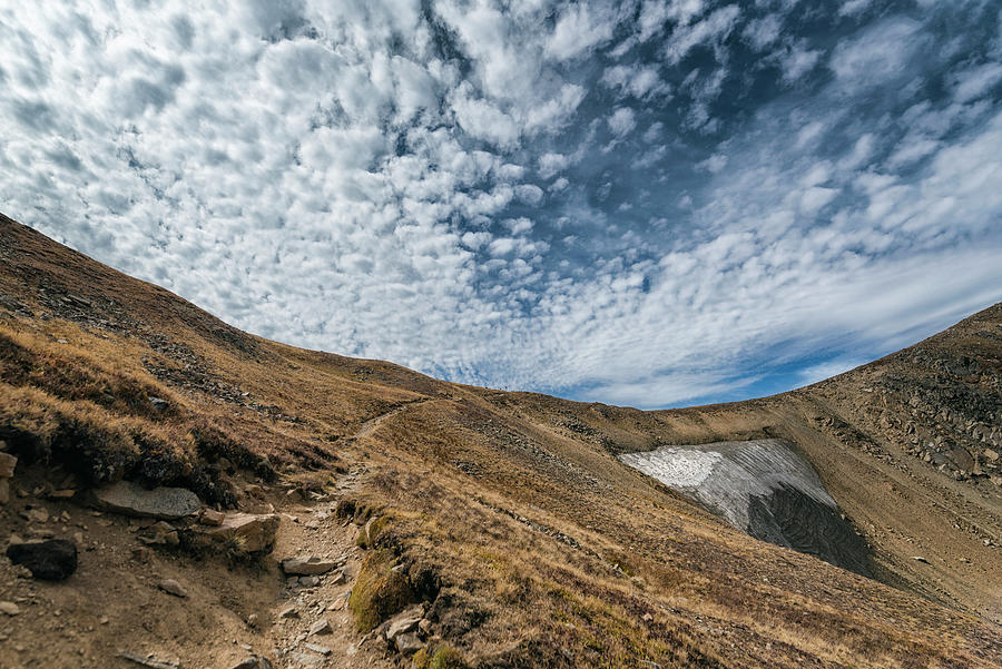 Alpine Tundra In The Indian Peaks Wilderness Photograph by Cavan Images ...