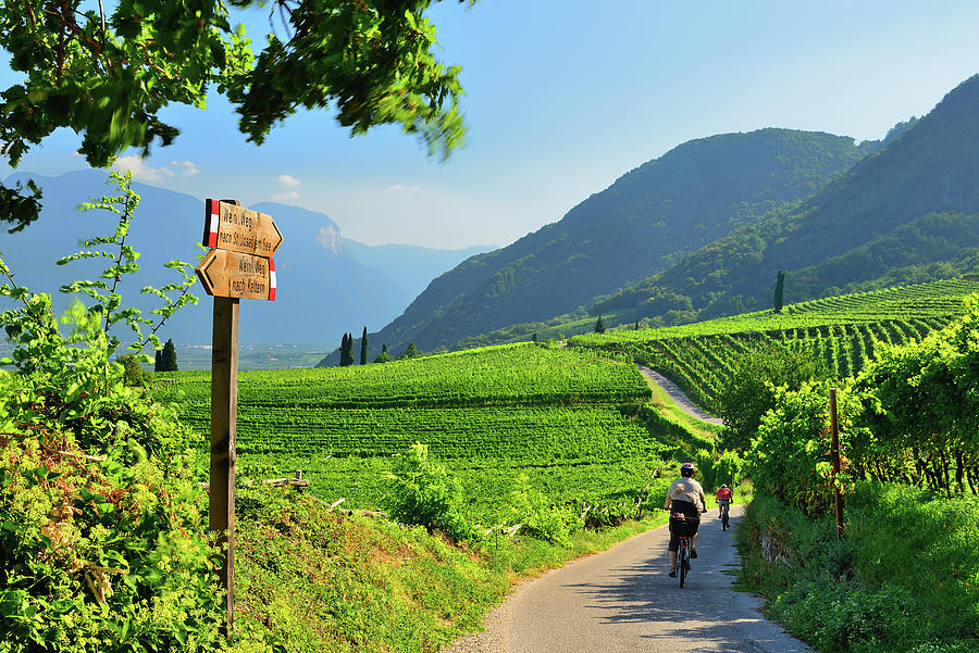 Alps, Cyclists Along Wine Road, Italy Digital Art by Franco Cogoli