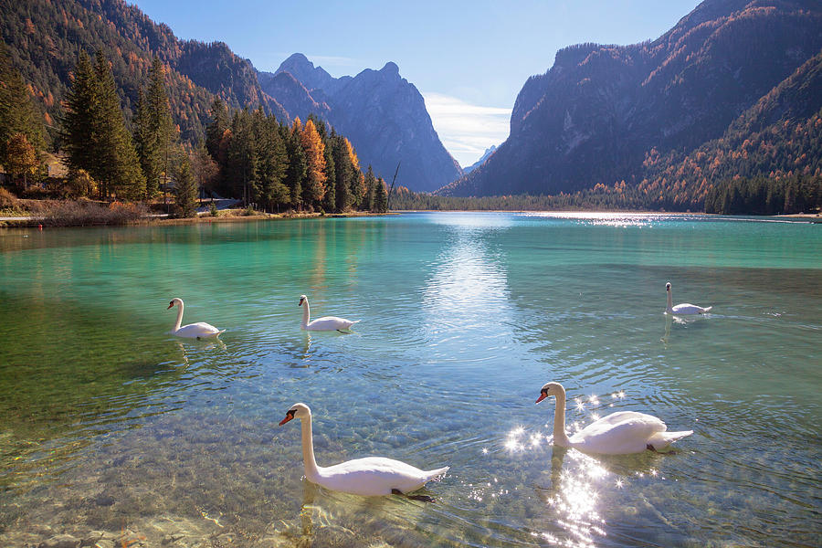 Alps, Dolomites, Dobbiaco Lake, Italy Digital Art by Johanna Huber