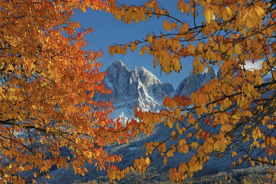 Alps, Dolomites, Odle Group, Italy Digital Art by Nicola Angeli