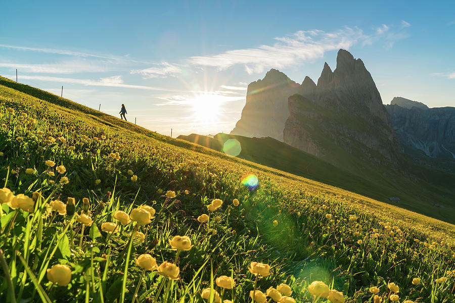 Alps, Dolomites, Seceda Peaks, Italy Digital Art by Francesco Vaninetti ...